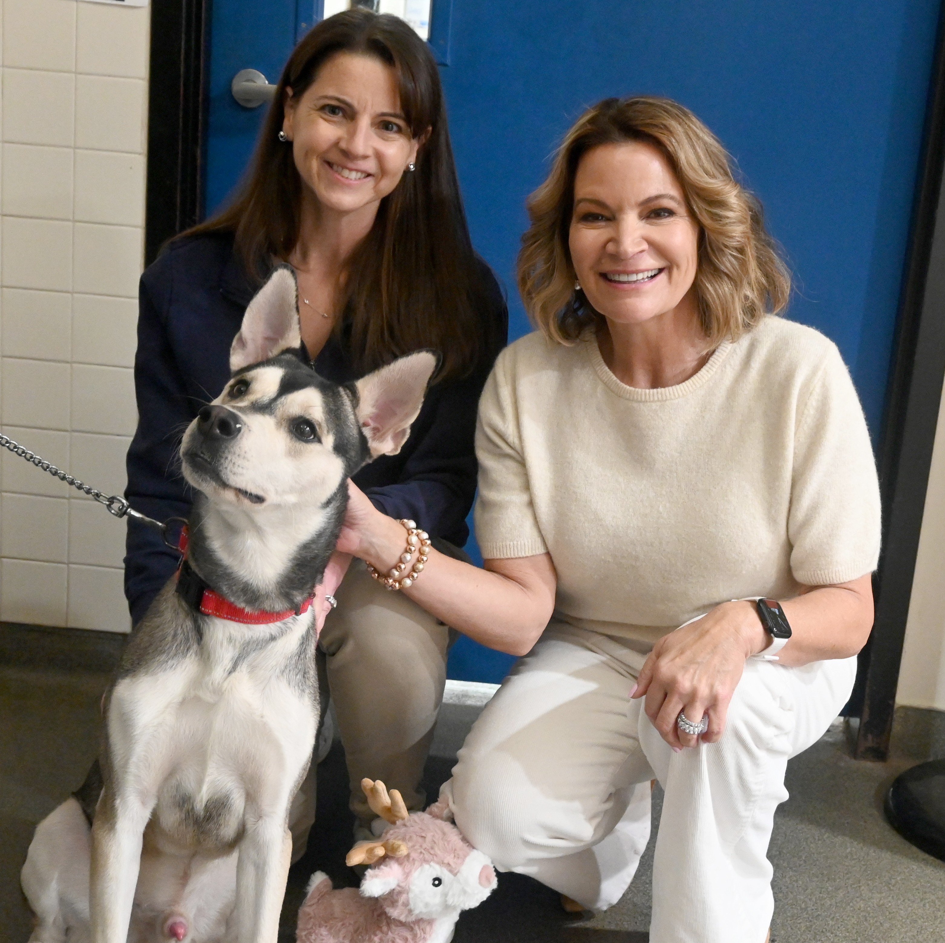State Reps. Carpino & Klarides-Ditria Visit Connecticut Humane Society, Highlight Commitment to Animal Welfare